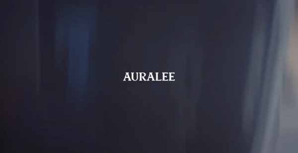 Vêtements japonais Auralee